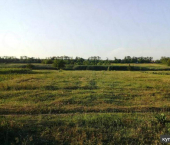 земля 4.9 сот Мичурина улица