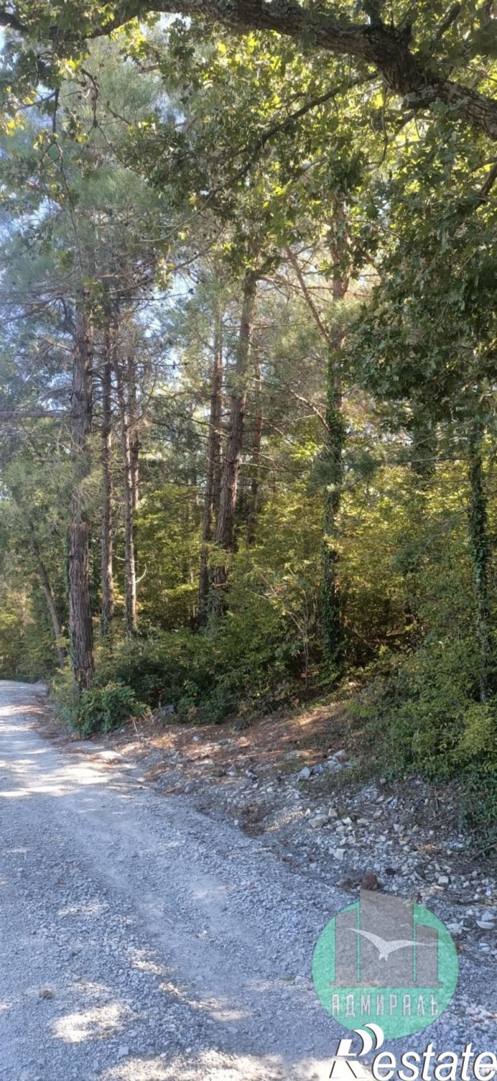 Земельный участок СНТ Голубая Долина,Роз улица