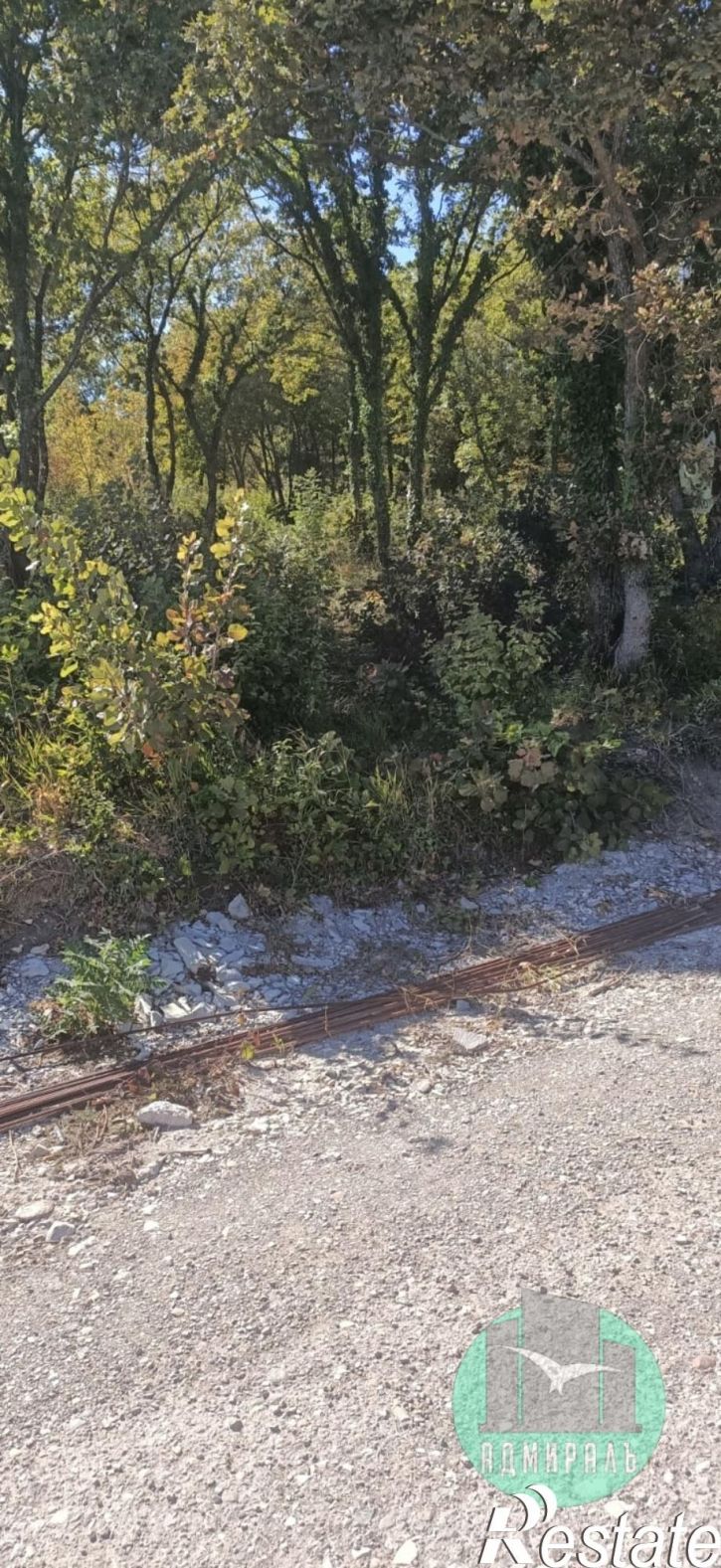 Земельный участок СНТ Голубая Долина,Роз улица