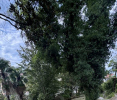 земля 14 сот ул Сухумское шоссе, 18