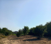 земля 8 сот Урожайная улица