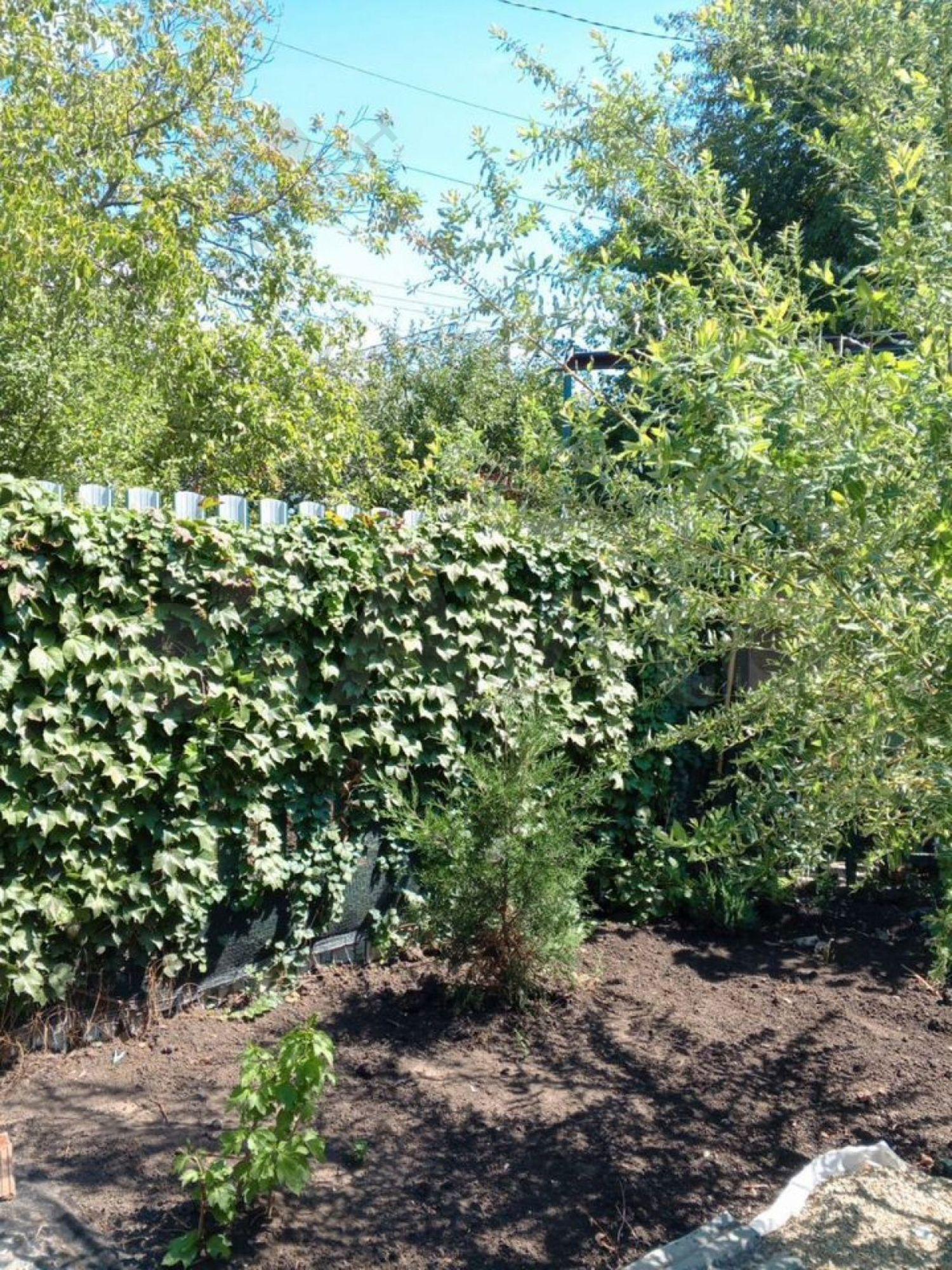 Купить дачу, дом, коттедж за 12 300 000 рублей на Дивная ул