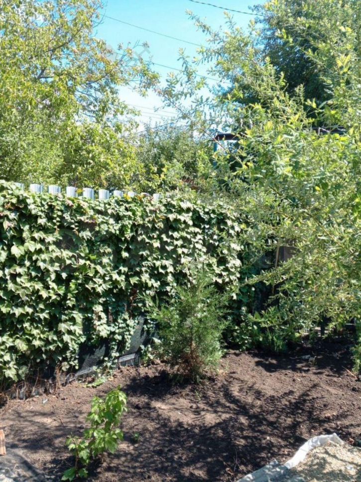 Коттедж/дом Дивная ул