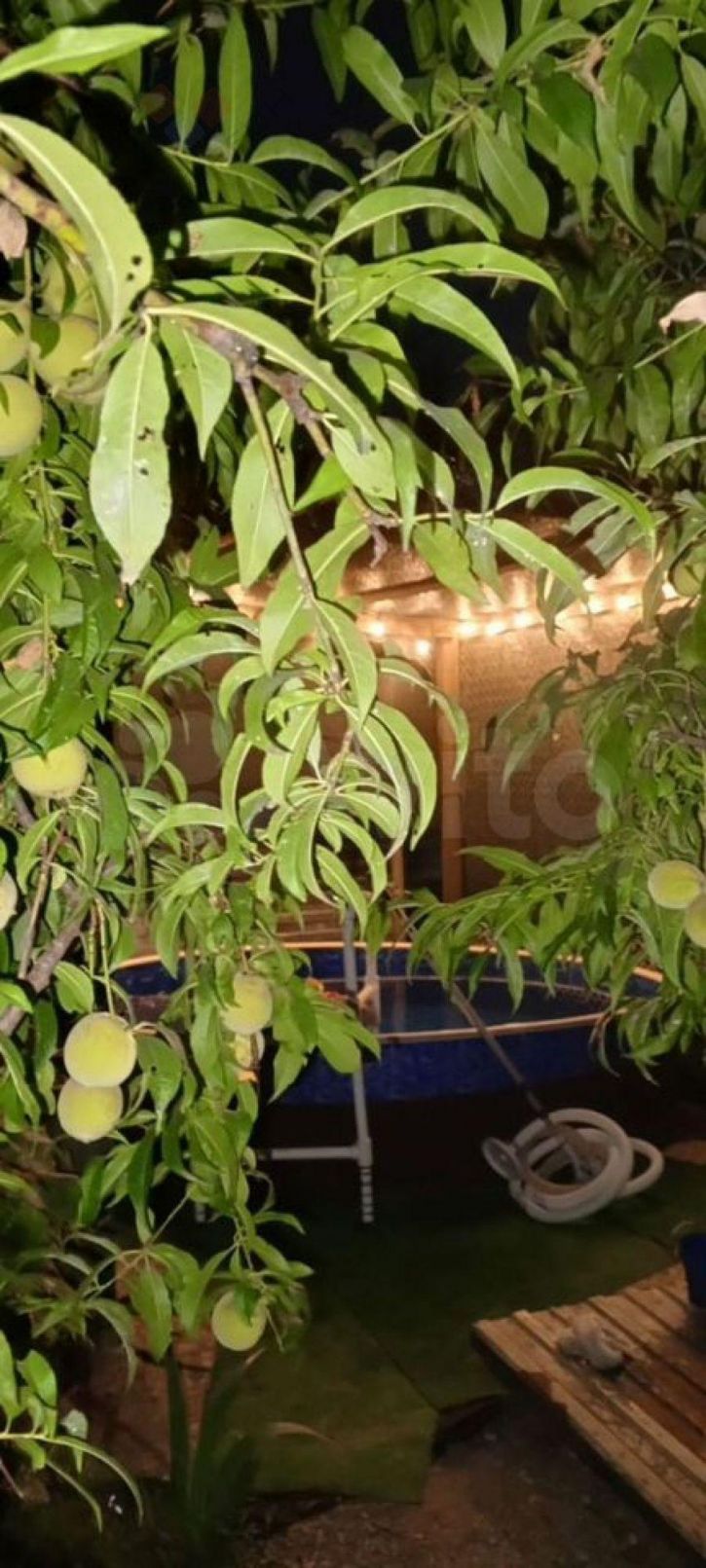 Коттедж/дом Дивная ул