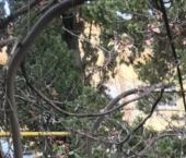 земля 4.5 сот ул Демократическая, 55