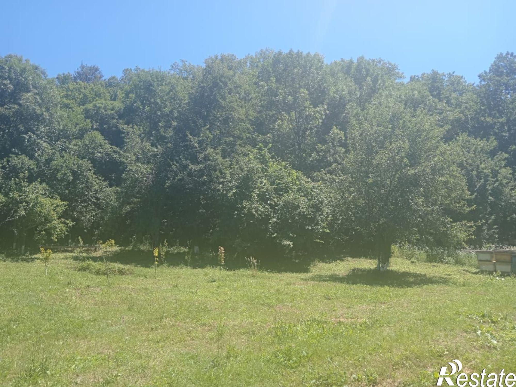 Купить дачу, дом, коттедж за 8 000 000 рублей на Горнарская улица, 19