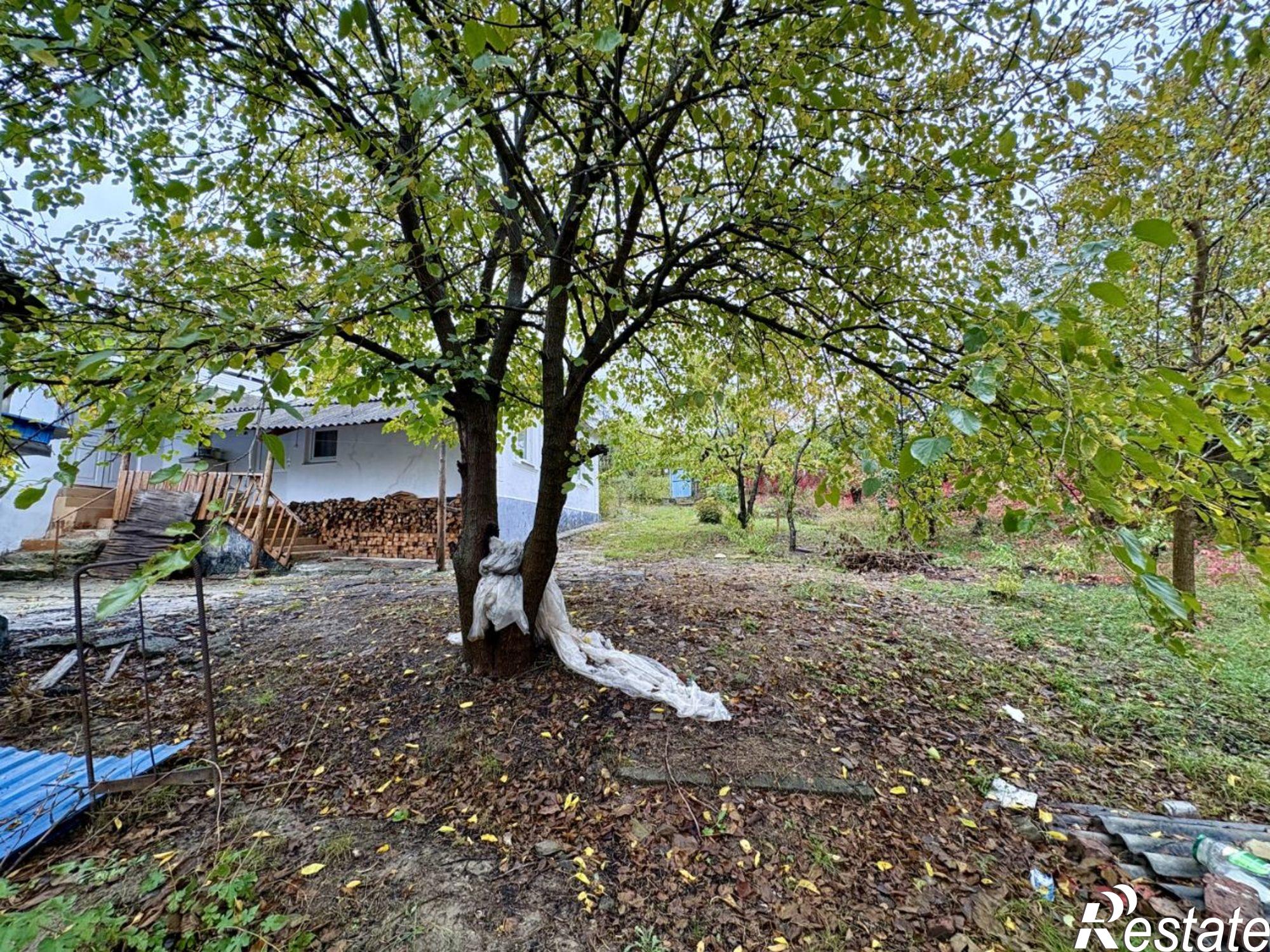 Купить землю, земельный участок за 24 200 000 рублей на Зелёная улица, 30