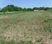 земля 15 сот Гоголя ул.