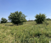 земля 16 сот Крымский район