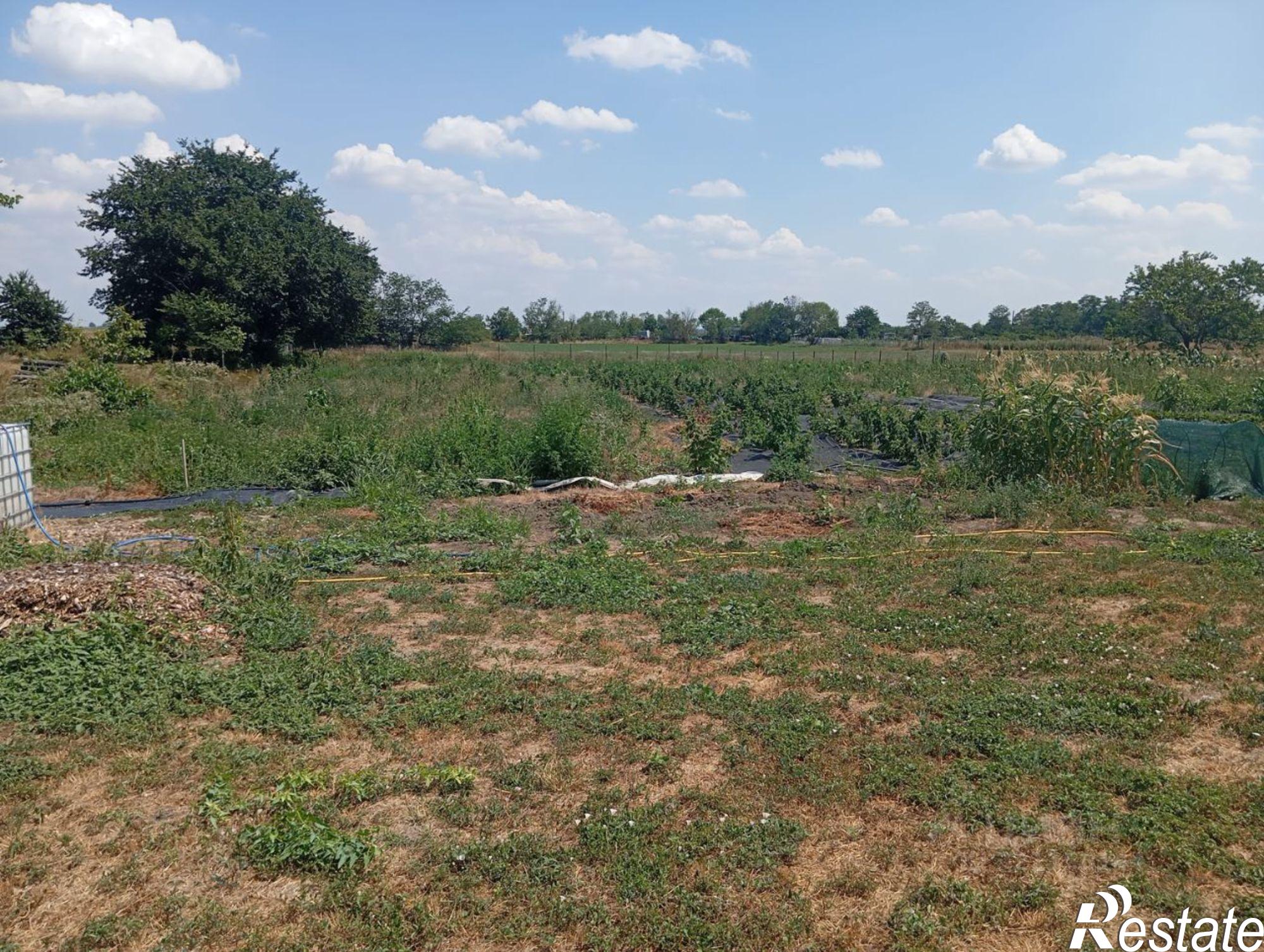 Купить землю, земельный участок за 2 100 000 рублей на ул Советская, 82