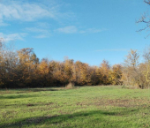 земля 6 сот ул Симонова, 50