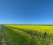 земля 7.75 сот Северский район