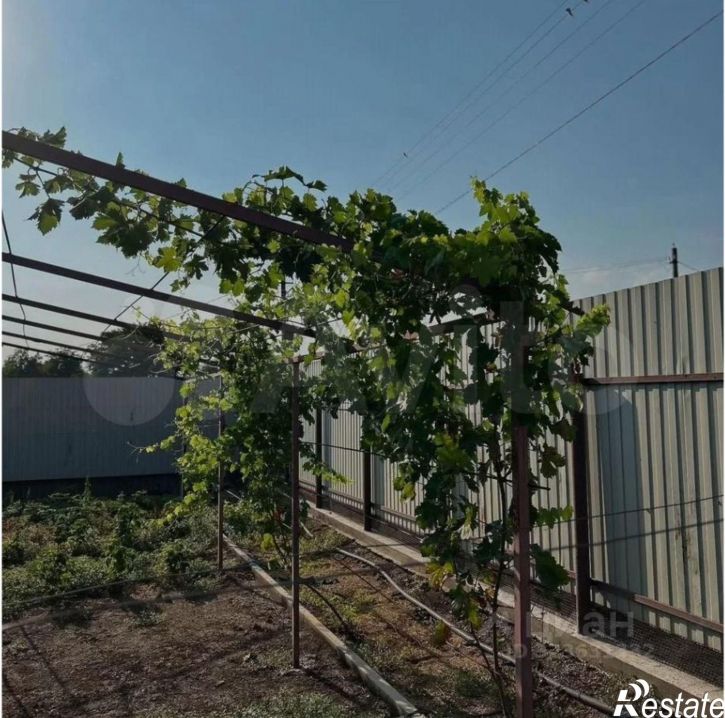 Коттедж/дом Выселковский район