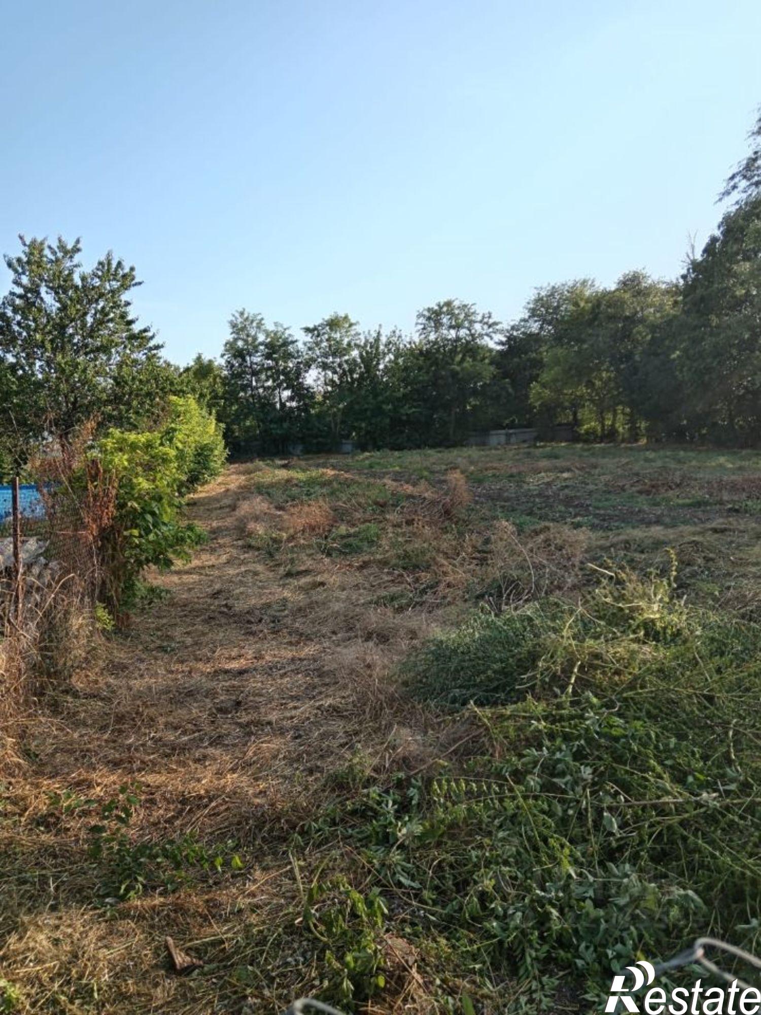 Купить землю, земельный участок за 6 000 000 рублей на Красная улица, 47