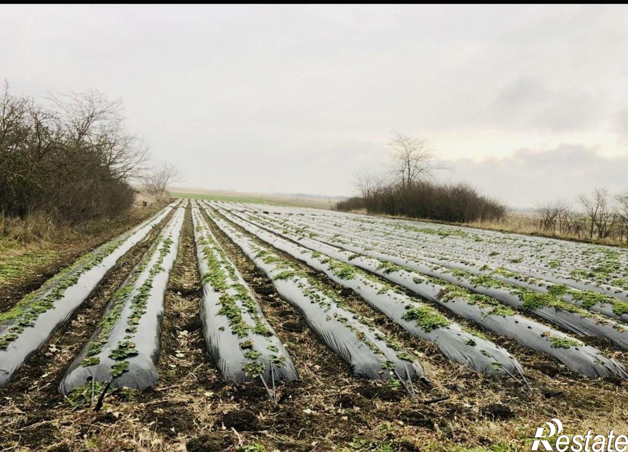 Купить дачу, дом, коттедж за 1 350 000 рублей на Белореченский район