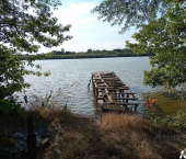 земля 16 сот Красная улица, 47