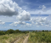 земля 10 сот 12-й проезд