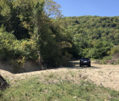 земля 16 сот 