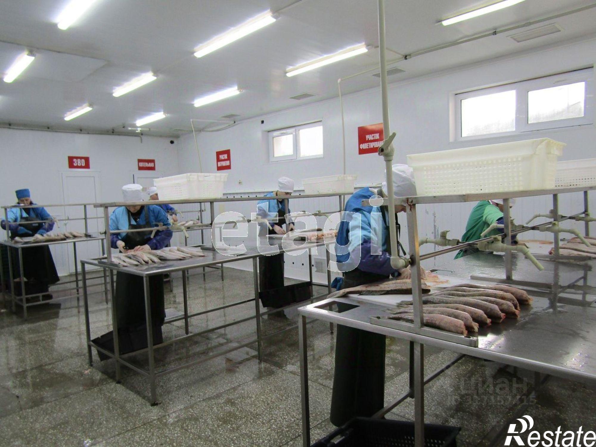 Купить складское помещение за 49 961 400 рублей на Ейский район, Ейск