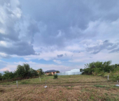 земля 8 сот 03Н-281