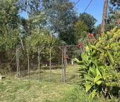 земля 5.8 сот Банановая улица