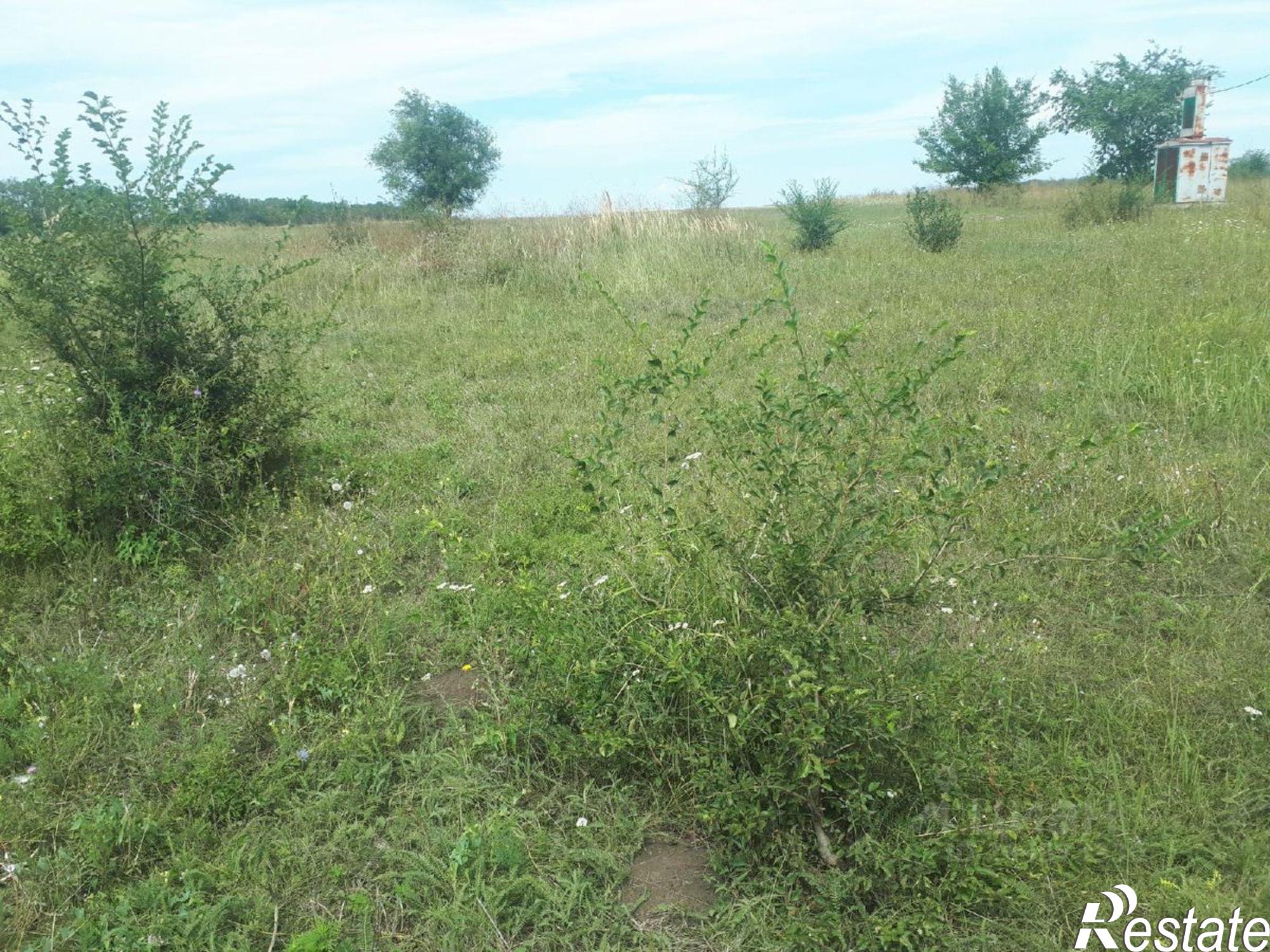 Сдать дачу, дом, коттедж за 16 667 рублей на ул Ленина, 18А