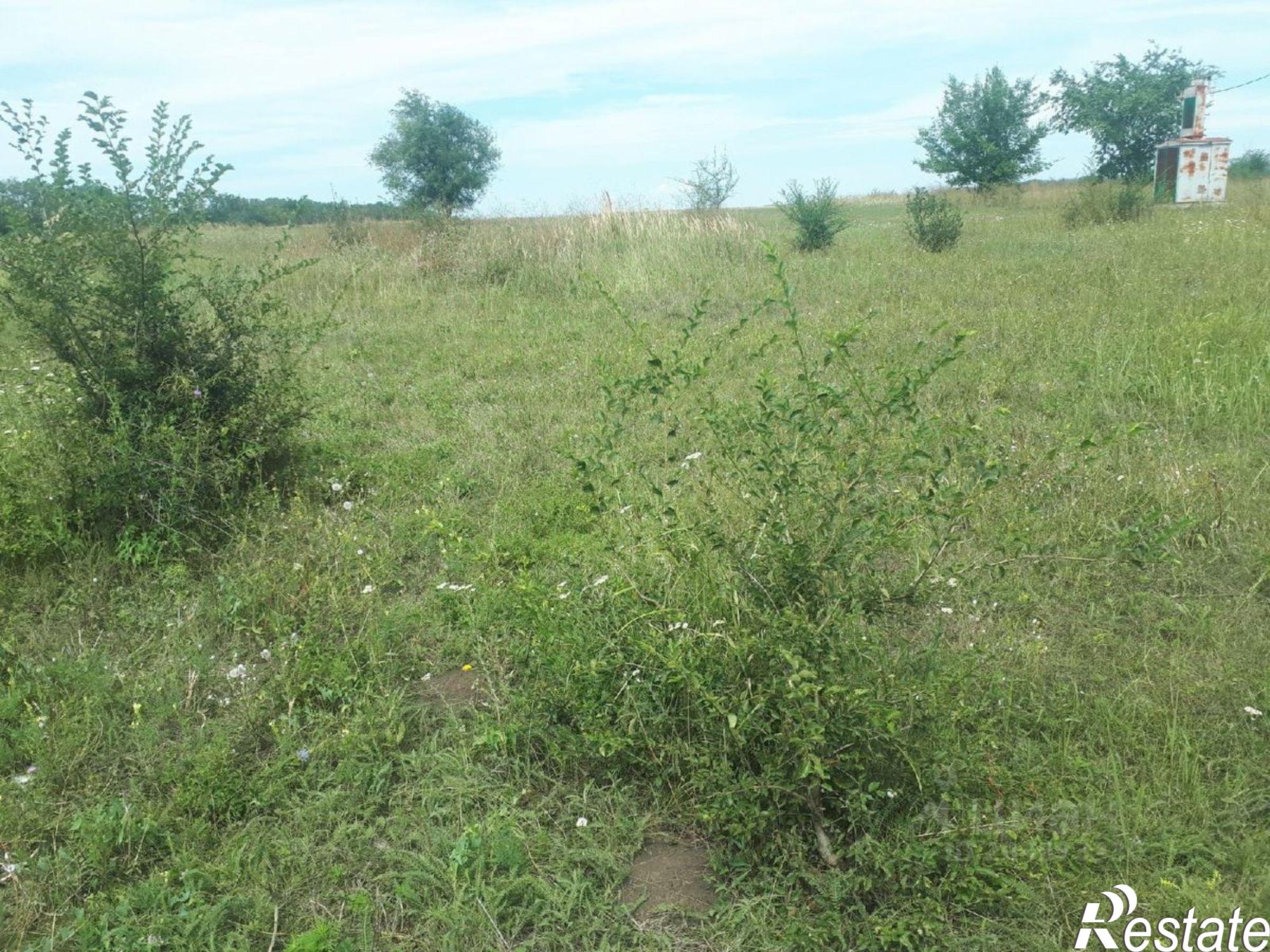 Сдать дачу, дом, коттедж за 16 667 рублей на ул Ленина, 18А