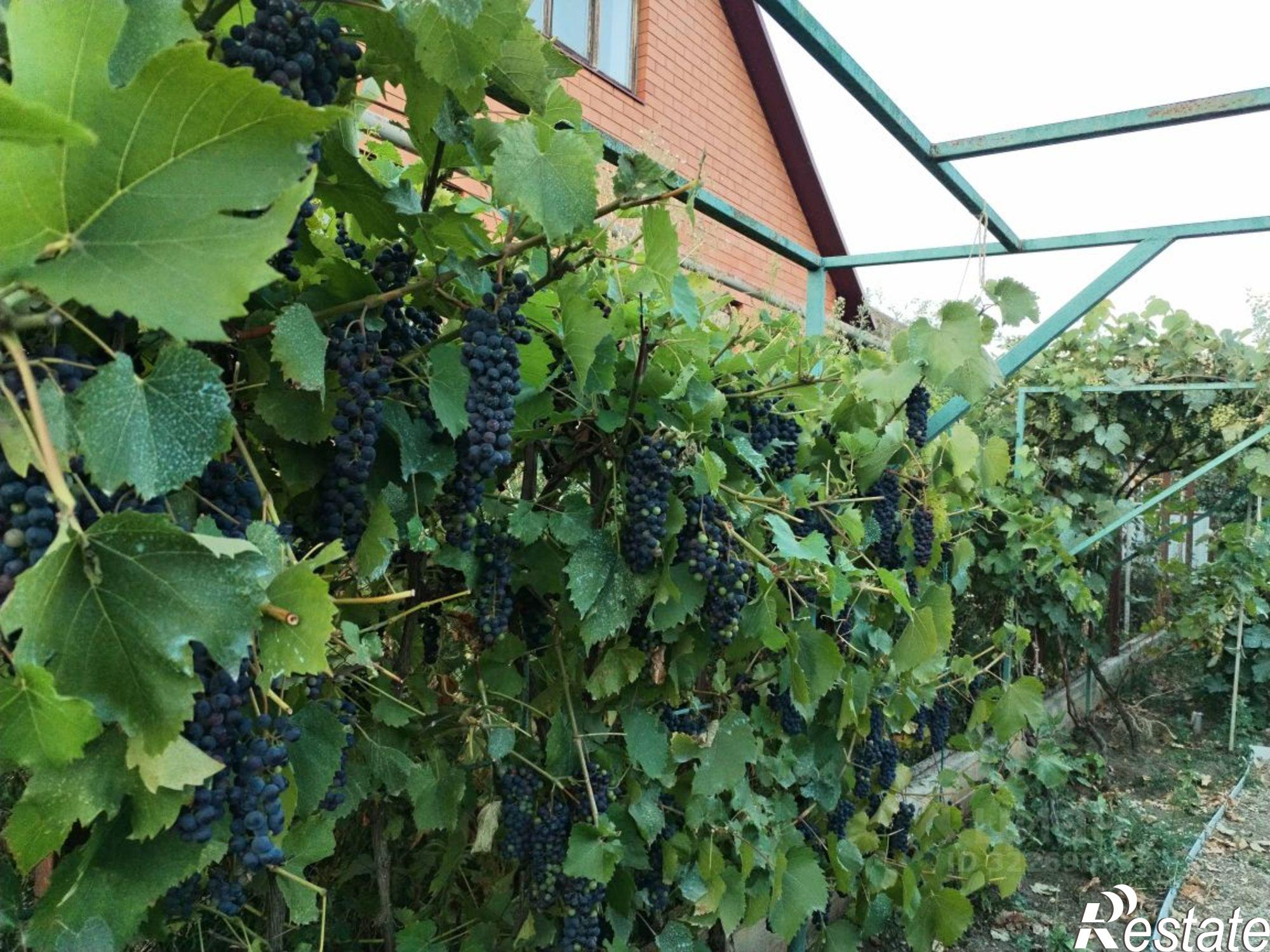 Купить дачу, дом, коттедж за 12 500 000 рублей на ул Российская, 17