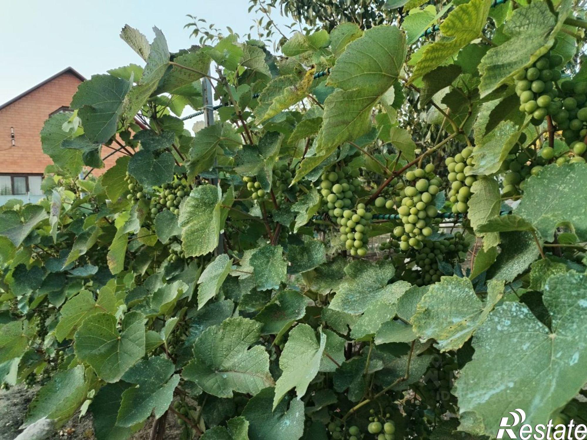 Купить дачу, дом, коттедж за 12 500 000 рублей на ул Российская, 17