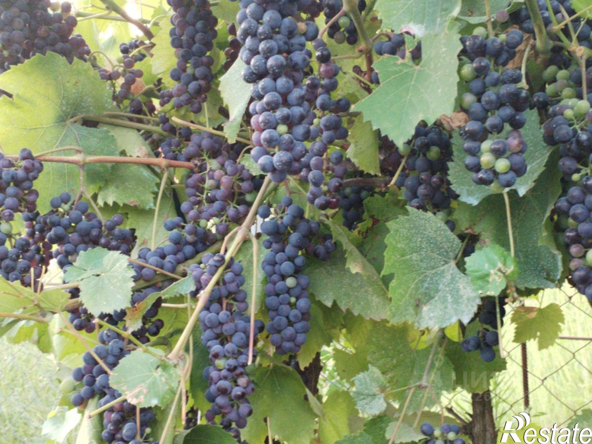 Купить дачу, дом, коттедж за 12 500 000 рублей на ул Российская, 17