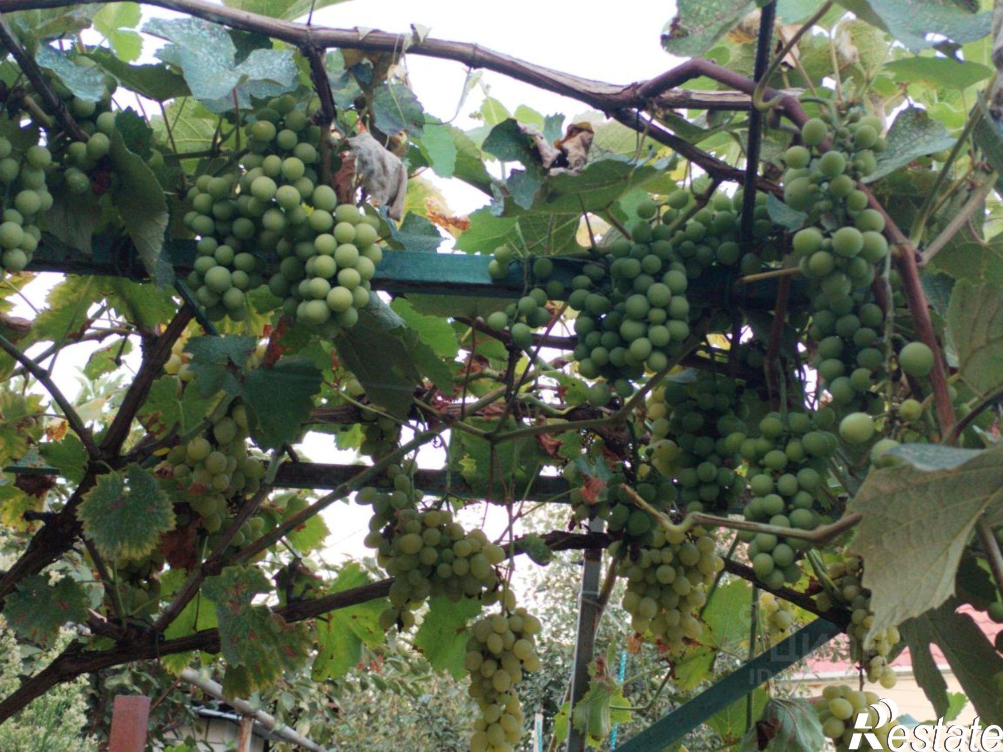 Купить дачу, дом, коттедж за 12 500 000 рублей на ул Российская, 17