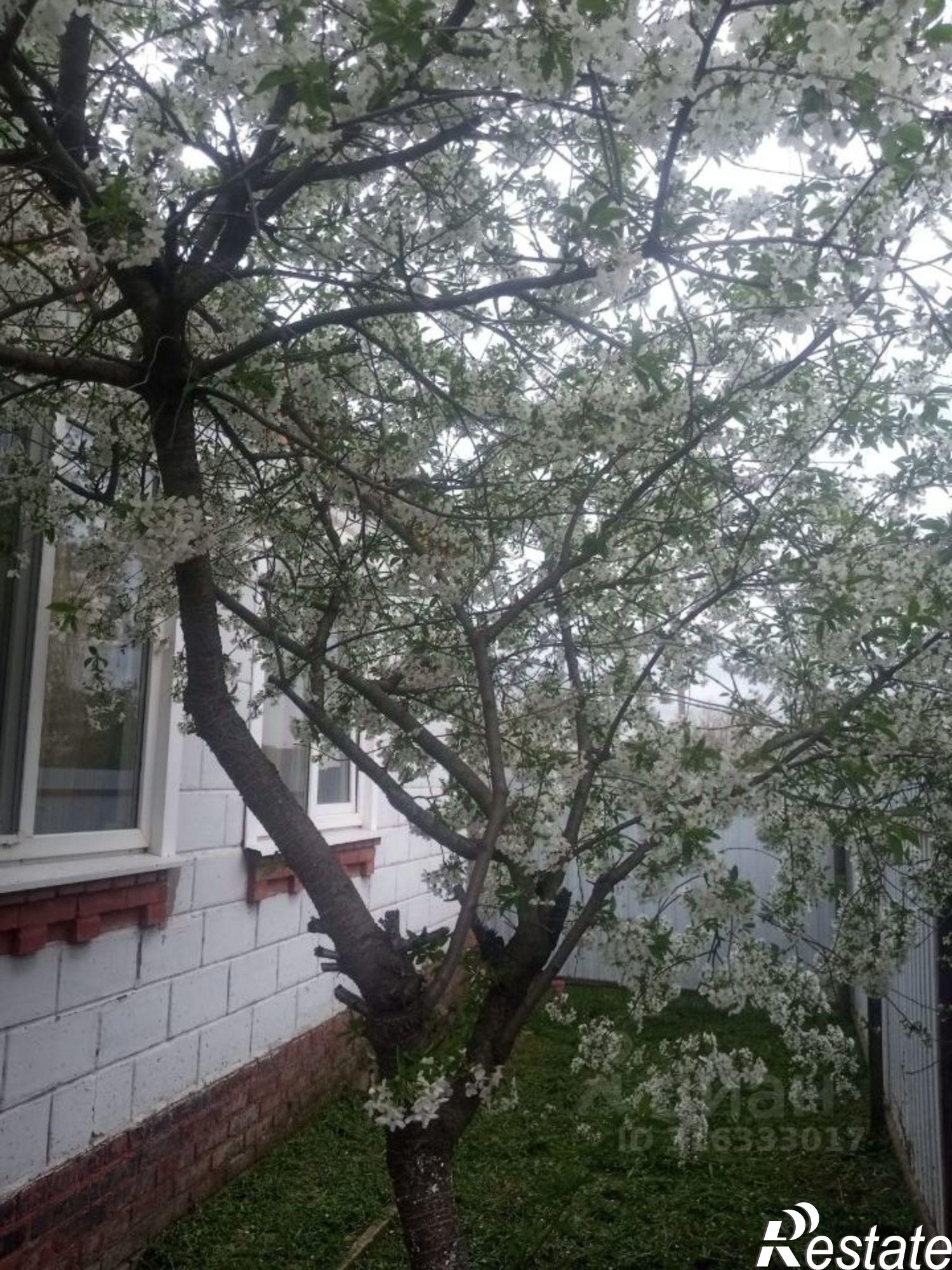 Купить дачу, дом, коттедж за 3 150 000 рублей на ул Первомайская, 30А