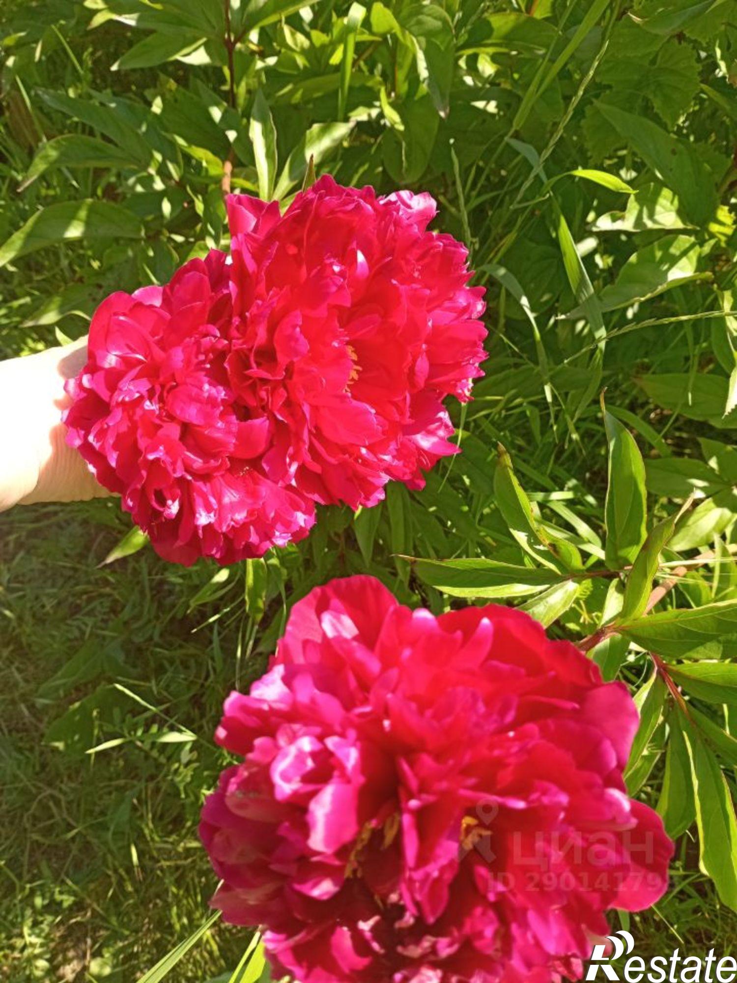 Купить дачу, дом, коттедж за 1 100 000 рублей на ул Ленина, 64В