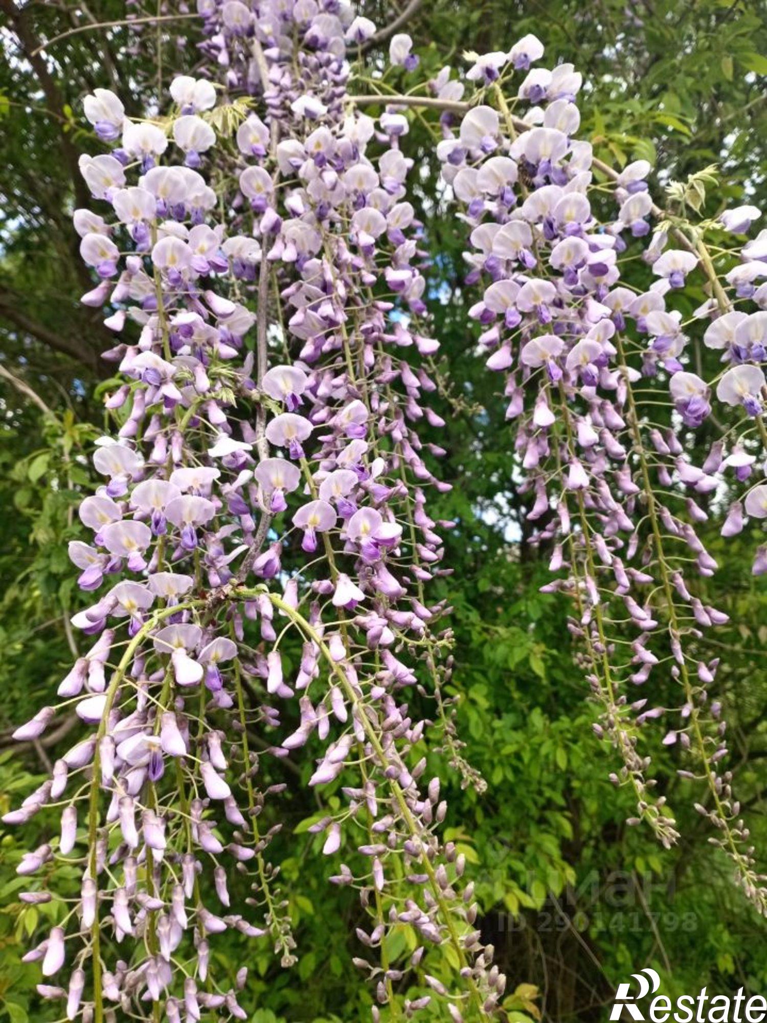 Купить дачу, дом, коттедж за 1 100 000 рублей на ул Ленина, 64В