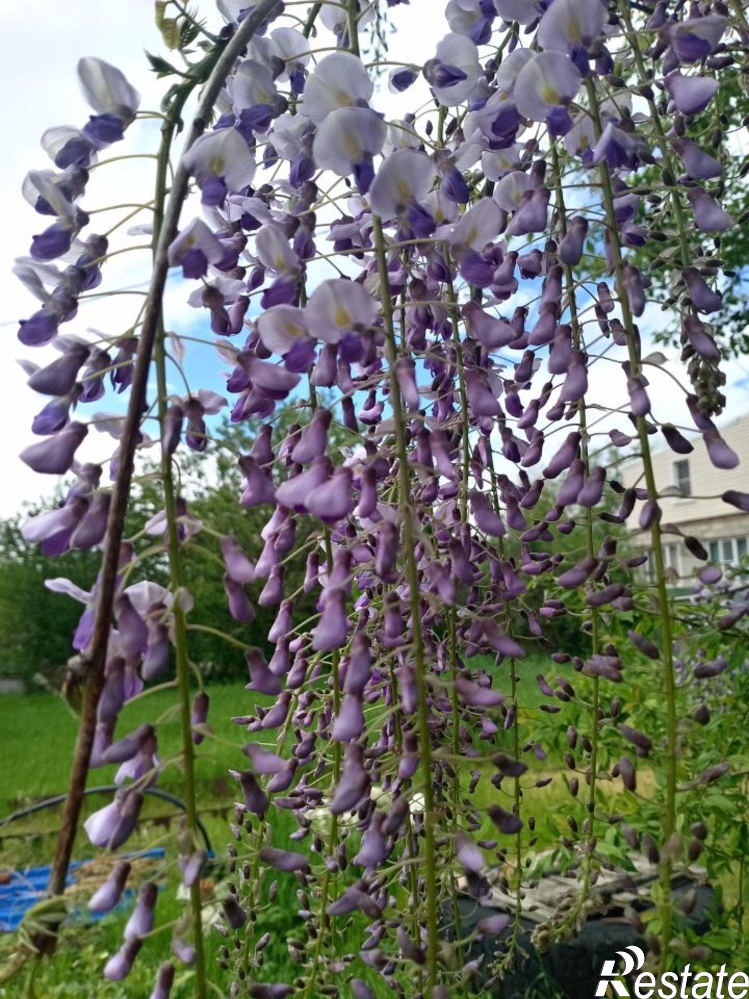 Купить дачу, дом, коттедж за 1 100 000 рублей на ул Ленина, 64В