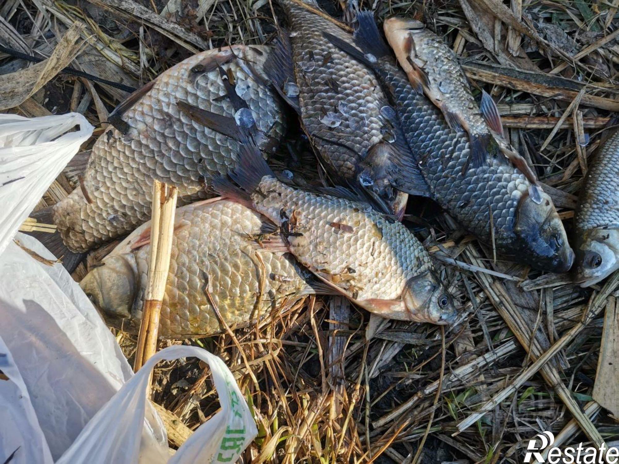 Купить дачу, дом, коттедж за 1 100 000 рублей на ул Ленина, 64В