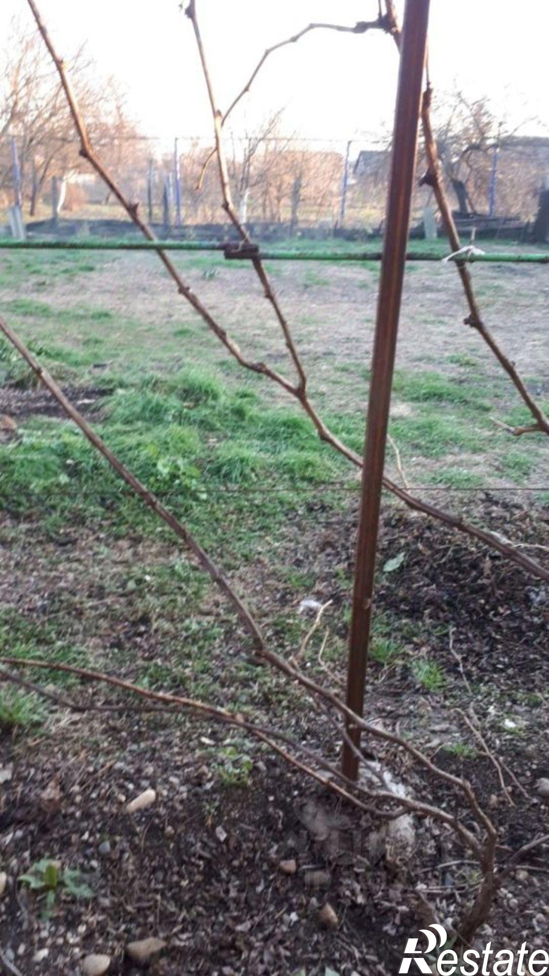 Купить торговое помещение за 3 100 030 рублей на ул Верхняя