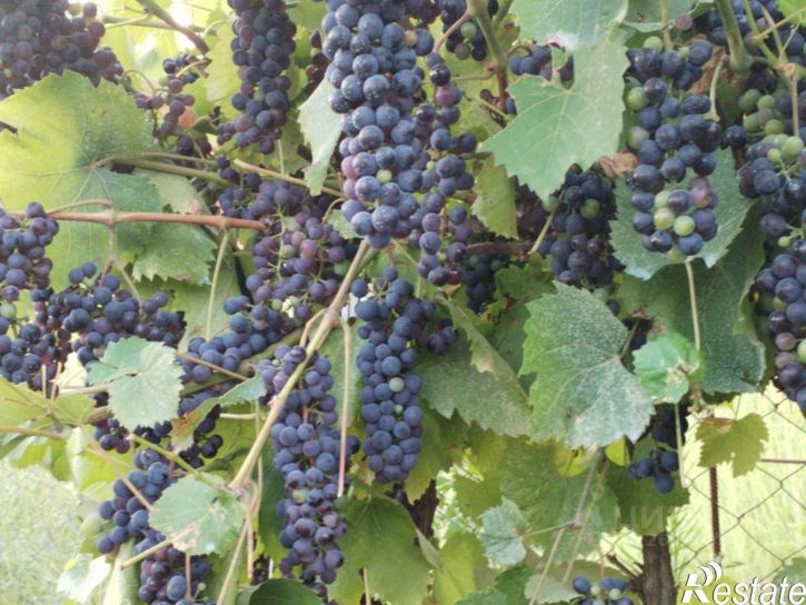 Коттедж/дом ул Российская, 17,  д. 17