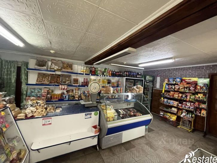 Торговое помещение улица Пушкина, 129,  д. 129