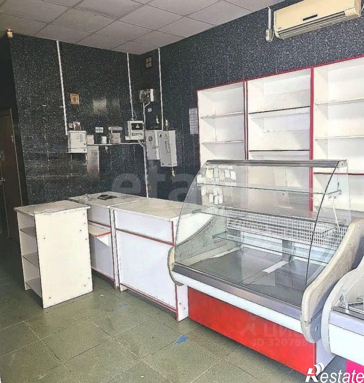 Торговое помещение улица Толстого, 115,  д. 115