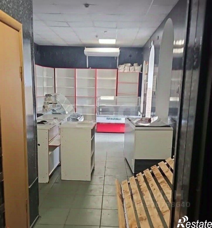 Торговое помещение улица Толстого, 115,  д. 115