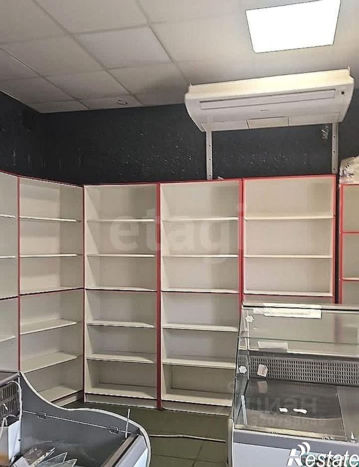 Торговое помещение улица Толстого, 115,  д. 115