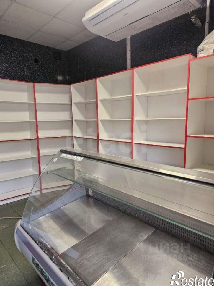 Торговое помещение улица Толстого, 115,  д. 115