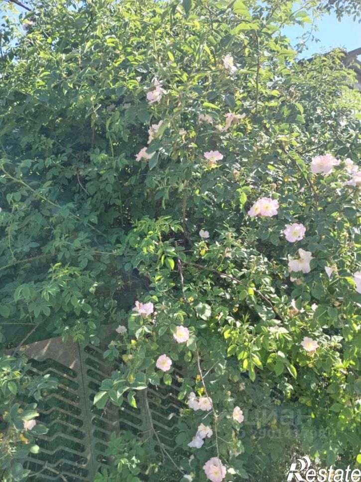 Коттедж/дом ул Ленина, 64В,  д. 64В