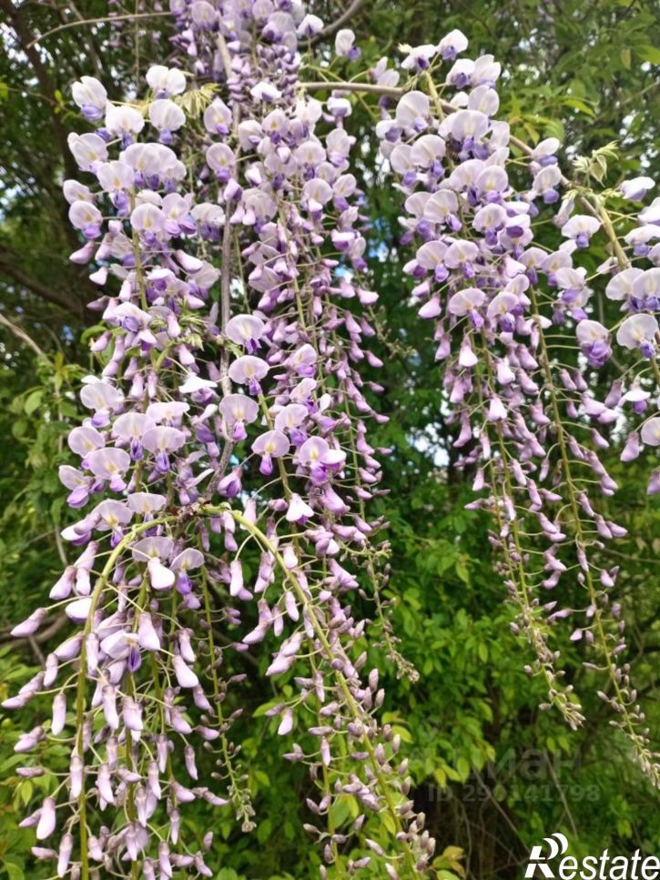 Коттедж/дом ул Ленина, 64В,  д. 64В