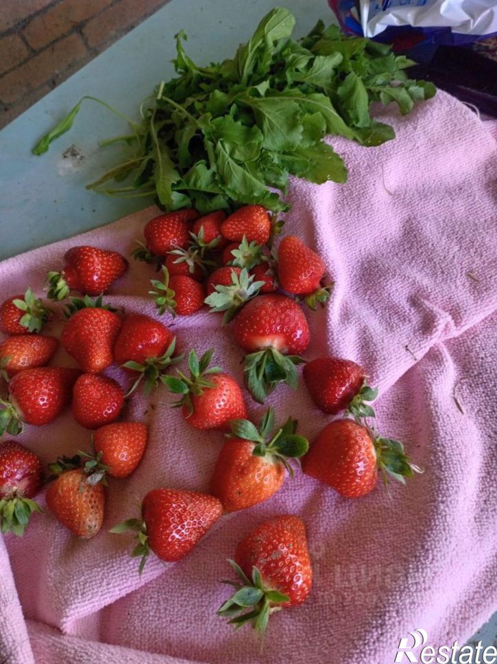 Коттедж/дом ул Ленина, 64В,  д. 64В