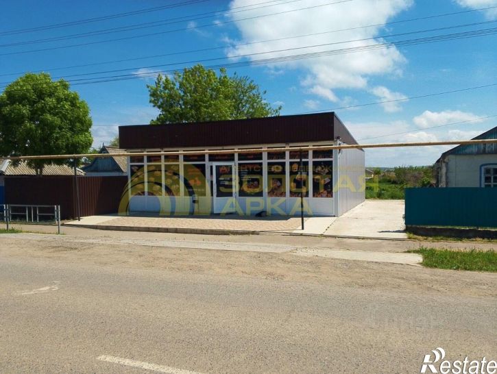 Торговое помещение ул Ленина, 244,  д. 244