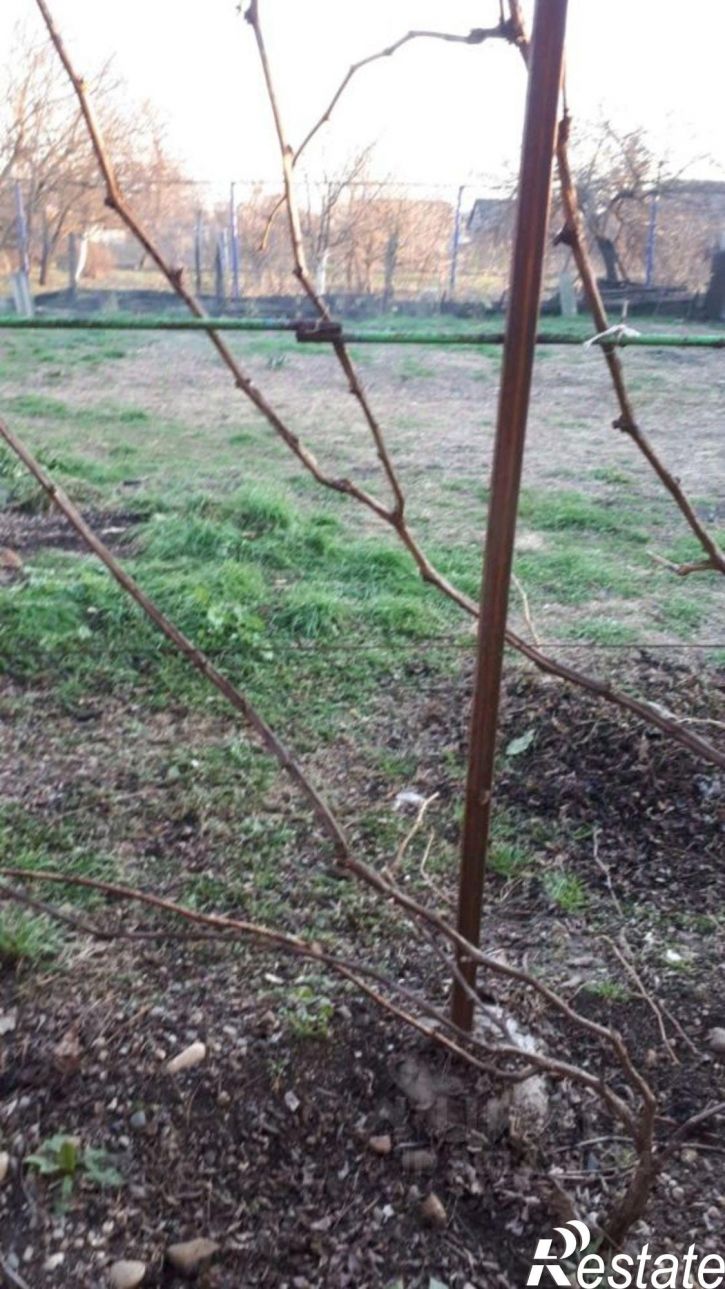 Торговое помещение ул Верхняя