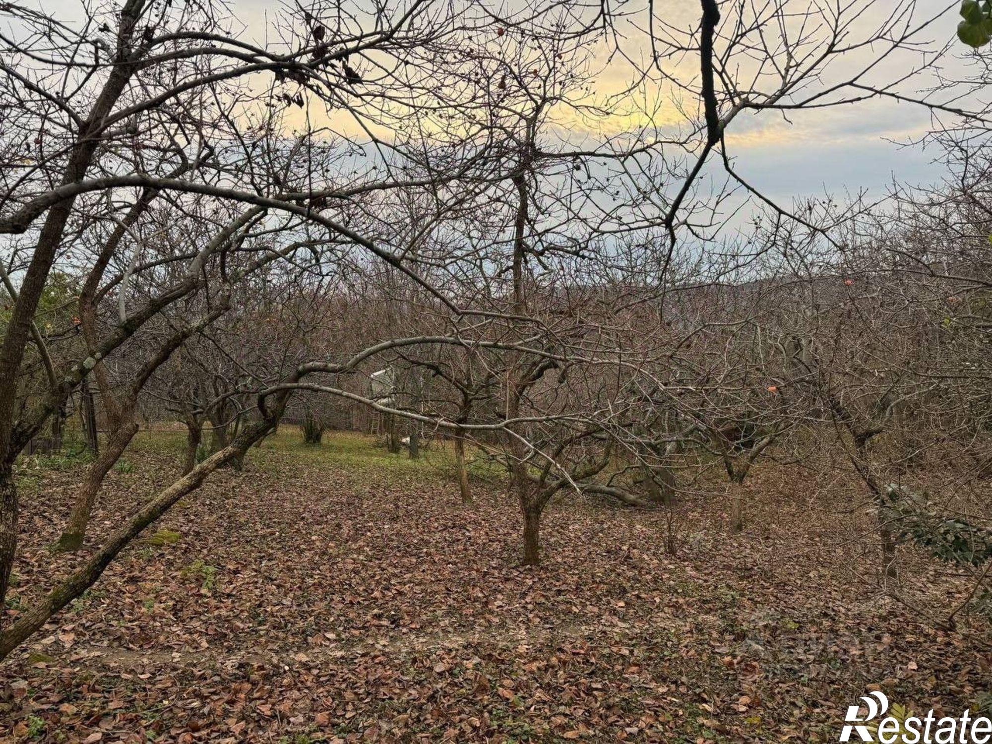 Купить землю, земельный участок за 23 400 000 рублей на городской округ Сочи