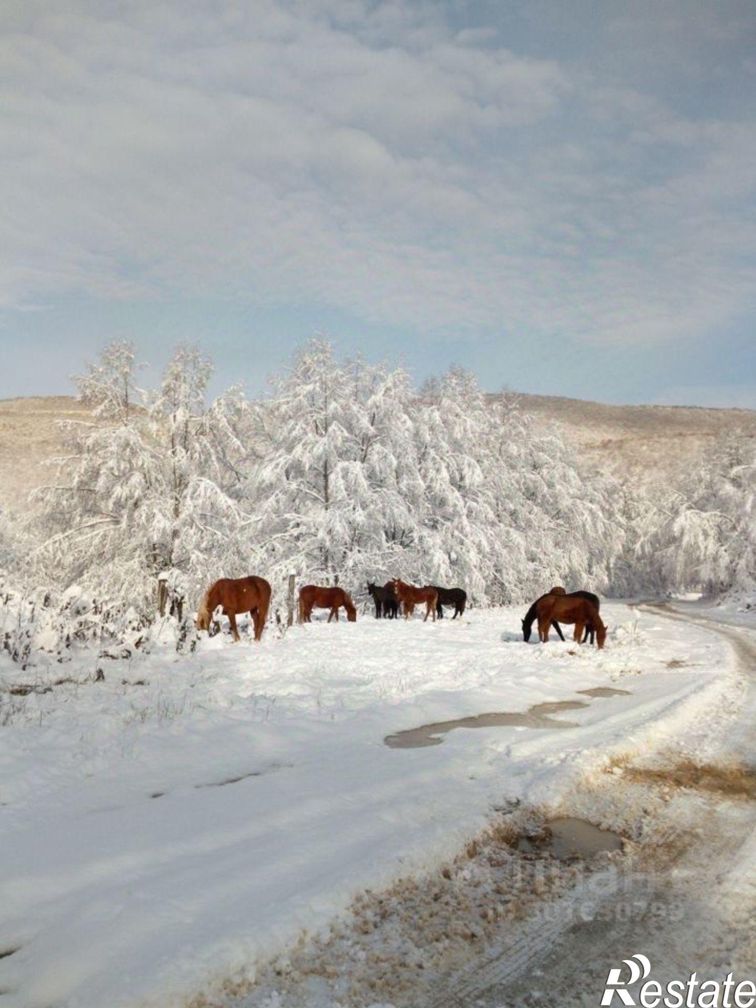 Купить землю, земельный участок за 3 500 000 рублей на ул Школьная, 20